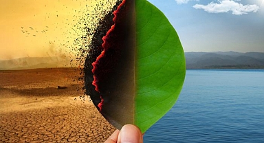 Mısır: Küresel krizler iklim değişikliğiyle mücadeleyi etkilemesin