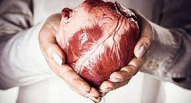 Organ Naklinde, Organ Kayıplarını Azaltmak Mümkün