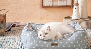 Patili Dostlarımız Yataş Konforu ile Buluşuyor