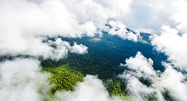 PETRONAS 2023 İçin Dört Sürdürülebilirlik Trendini Listeledi