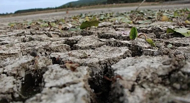 Sonbahar yağışlarının yeterli olmadığı Ege'de çiftçiler tohum ekimini erteledi