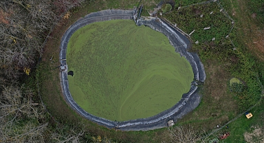Su mercimeği hem sudaki kirliliği önlüyor hem hayvanlara yem oluyor