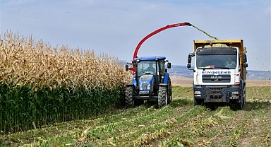 Tarım Kampüsü'nde yetiştirilen silajlık mısır hasadı yapıldı