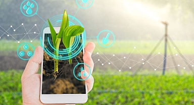 VODAFONE BUSINESS’IN DİJİTAL TARIM ÇÖZÜMÜYLE %30’A VARAN SU TASARRUFU