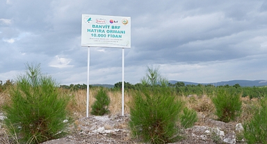 Banvit BRF Ormanı 40 bin ağaca ulaştı