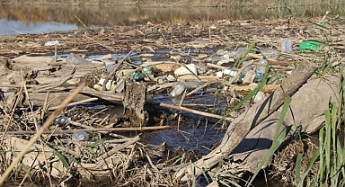 Büyük Menderes Nehri'nde kirlilik araştırması 