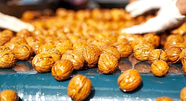 Ceviz Üreticileri Derneği’nden tüketicilere uyarı