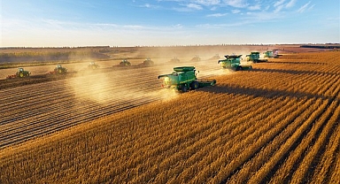 Çin'in tahıl üretiminde rekor