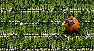 Çinli ve Türk gençlerin katıldığı fotoğraf yarışmasında 20 ödül