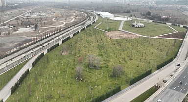 Doğal Yaşam ve Atatürk çocukları Parkı’nın yapımı sürüyor