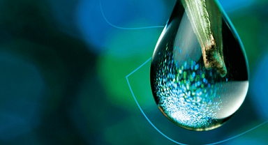 Dünya Kalite Raporuna göre Kalite Mühendisliği sürdürülebilir bilişim teknolojilerinin çevresel boyutu açısından büyük önem taşıyor