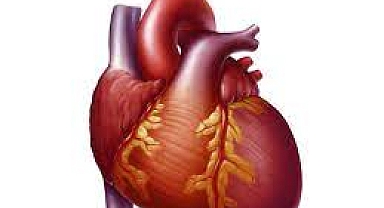 Düzenli Egzersizin Kalp Üzerindeki 7 Pozitif Etkisi!