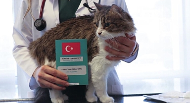 Evcil hayvanların çip zorunluluğunda son haftaya girdik