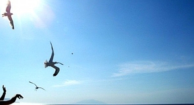 Finansal huzurun seyrini gelecek haftanın verileri belirleyecek 