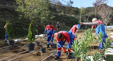 Kağıthane’de toprakla buluşan fidan sayısı 40 bine ulaştı