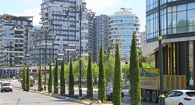 Kağıthane’de toprakla buluşan fidan sayısı 40 bine ulaştı