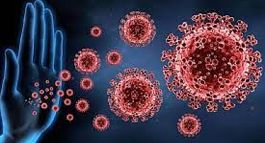 Kışın bağışıklık için 5 temel besin grubu tüketilmeli  