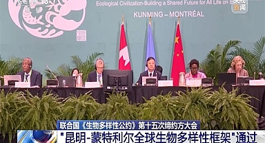 “Kunming-Montreal Küresel Biyoçeşitlilik Çerçevesi insanlık ve doğa arasında barışçı bir sözleşme”