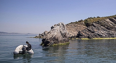 Marmara Denizi eski günlerine döndü