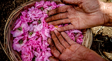 Parfümler iklim değişikliğinden nasıl etkileniyor?