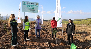 SOCAR Türkiye geri dönüştürdüğü kağıtlardan 10 bin fidanlık orman oluşturdu