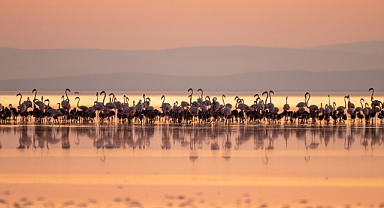 Sulak Alanlar İçin Acil Koruma Çağrısı