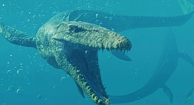 1999 Yılında Kastamonu'da Bulunan Bu İlginç Canlı Neyin Nesiydi?