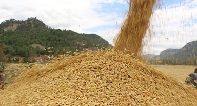 2022'de dünyada gıda fiyatları yüzde 1 geriledi, Türkiye'de yüzde 77 arttı