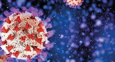 Amerika’da yeni varyant endişesi