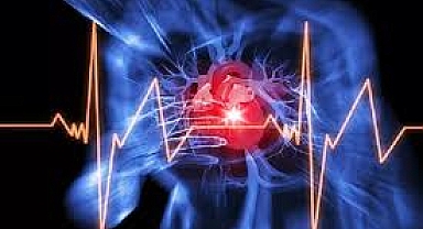  Ani Kalp Durmasından Kurtulmak Mümkün Mü?