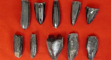 Antik Mayalar, Piyasaya Dayalı Ekonomi Kullanıyordu