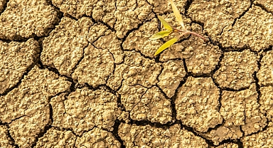 Bitlis'te kuraklık nedeniyle 3 içme suyu kaynağı kurudu