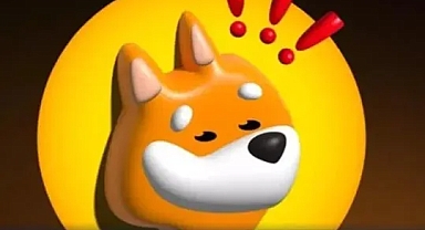 BONK Nedir ve BONK Neden Yükseliyor?