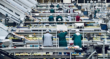 Bu Yıl'ı Sürdürebilmek: Yaşam Trendleri