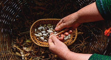 Buğday Derneği: Çözüm Agroekoloji