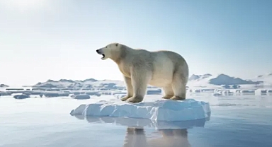 Buzul diye bir şey kalmayacak! Yok oluyor!!
