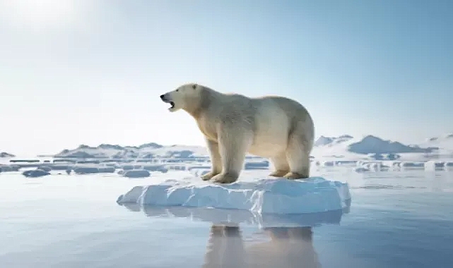 Buzul diye bir şey kalmayacak! Yok oluyor!!