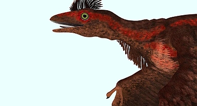 Dinozorlar akrabalarımızı yemiş olabilir