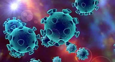 DSÖ maske kararını Omicron alt varyantı XBB.1.5 için açıkladı