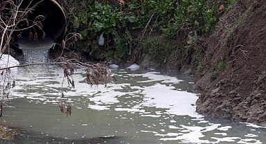 Edirne'de Tunca Nehri'ne atık su salınmasına çevrecilerden tepki