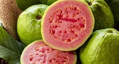 Faydaları Saymakla Bitmeyen Lezzetli Bir Tropik Meyve: Guava