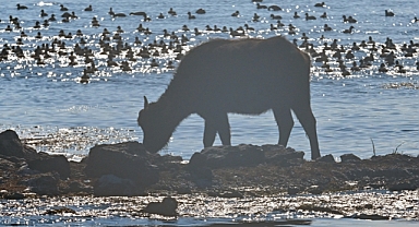 Geçen yılın en soğuk ilçelerinde bu sene sıcaklıklar arttı