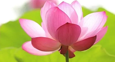 Güne keyifli bir başlangıç için söyleyebileceğiniz 20 mantra