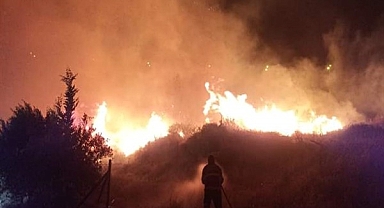 Hatay'da ikinci orman yangını