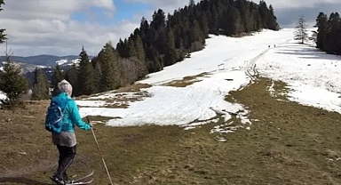 İklim değişikliği: Avrupa, daha önce duyulmamış sıcaklıklarla boğuşuyor