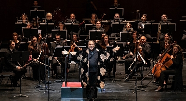 İnsan Sesine Konan Kuş