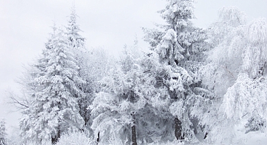 İstanbul'da kar yağışı başladı