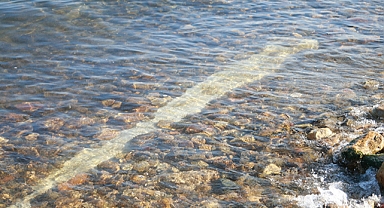 İznik Gölü'nde sular çekilince 2,5 metrelik sütun ortaya çıktı