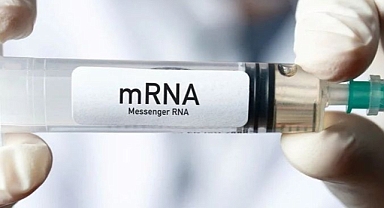 Kanserin tedavisi, mRNA teknolojisinde mi saklı?