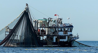 Karadeniz'de sürdürülebilir balıkçılık ve balık stoklarının korunması
